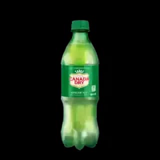 Canada Dry Ginger Ale 500mL Bottle